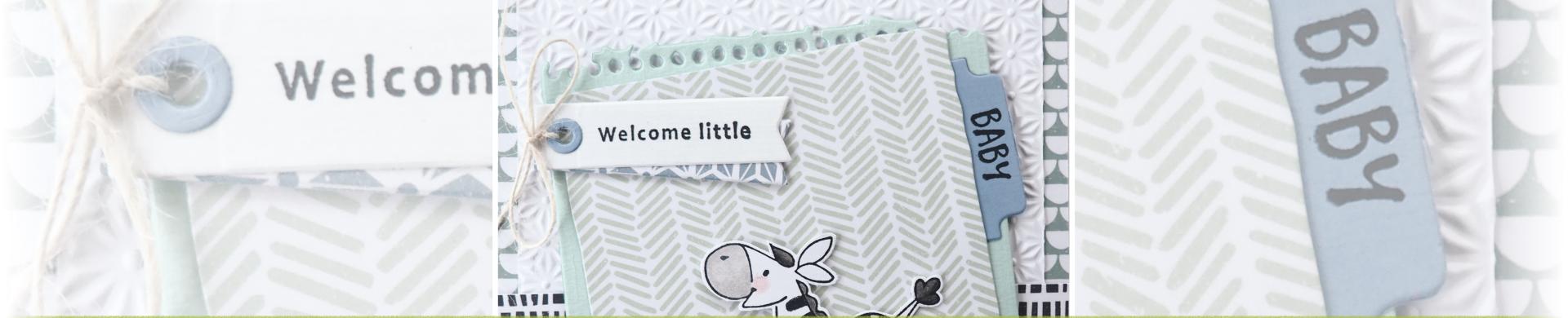 Embossing Folders