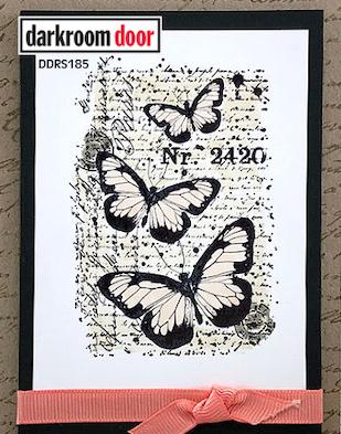 Darkroom Door