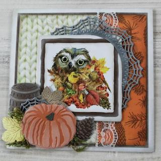 Autumn Owl Card