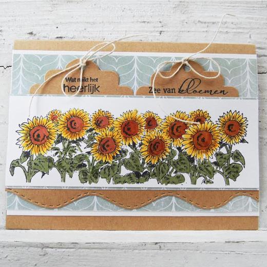 Marianne design craftables coupe meurt cousu vagues /& nuages CR1361