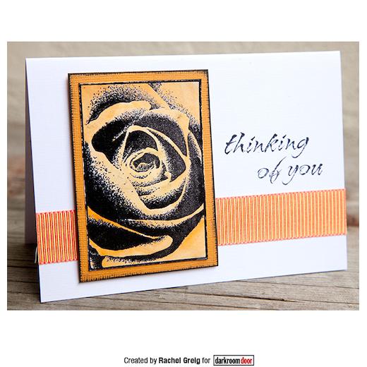 Darkroom Door Cling Rubber Stamps Set DDRS108 Bright Blossoms Vol 2