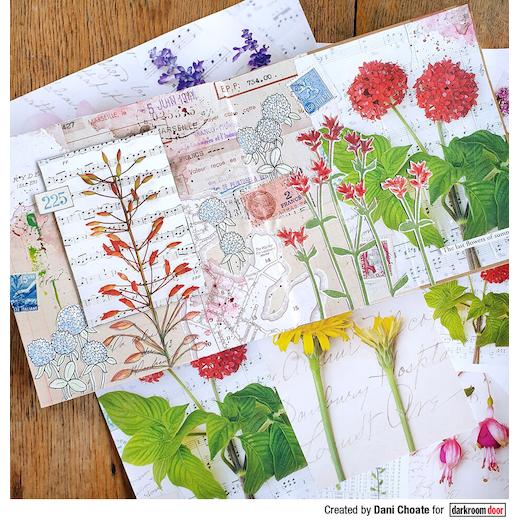 Darkroom Door Collage Sheets 6pcs Botanical Notes DDCL001 Buddly Crafts