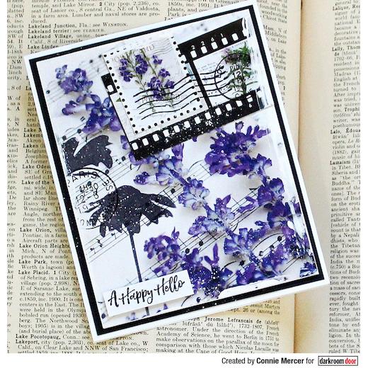 Darkroom Door Collage Sheets 6pcs Botanical Notes DDCL001 Buddly Crafts