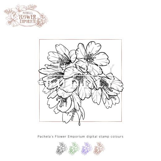 Pachela s Flower Emporium Digital Stamps Cherry Blossom 1