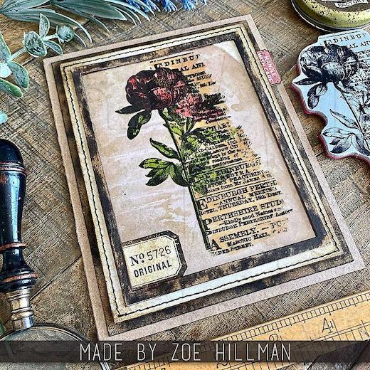 Tim Holtz Cling Rubber Stamps - Botanic Elements CMS447 Tim Holtz Cling Rubber Stamps - Botanic Elements CMS447